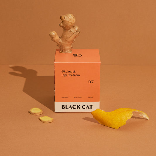 Klassikerne - Økologisk Ingefærdrøm (15pk)