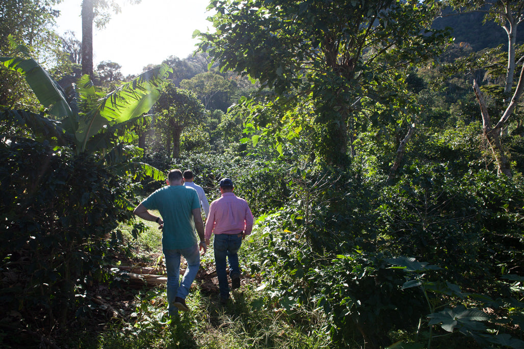 Nicaragua 2020 - Santa Maria, Las Morenitas og Montecristo.