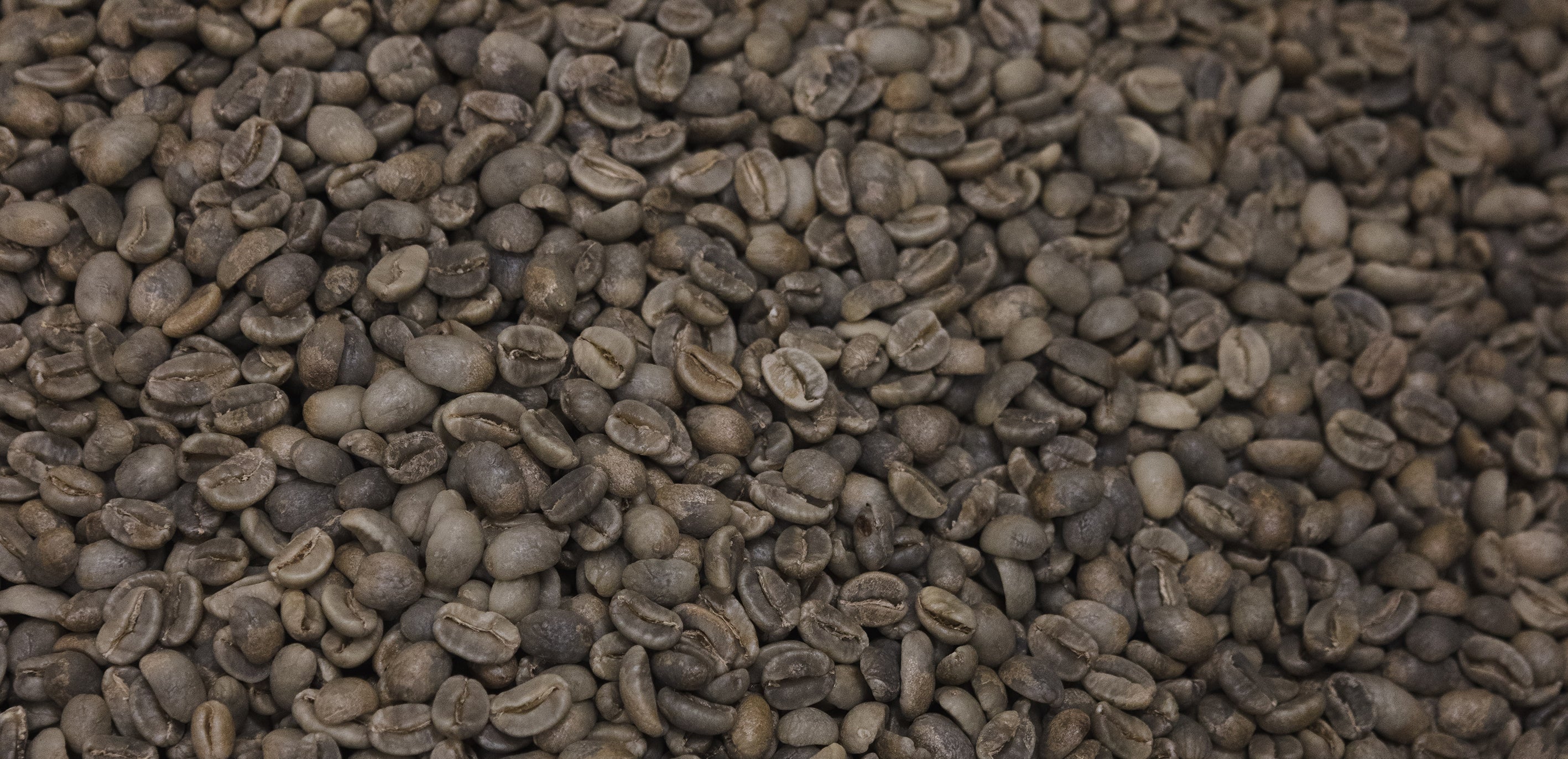 Hvorfor velge økologisk kaffe?