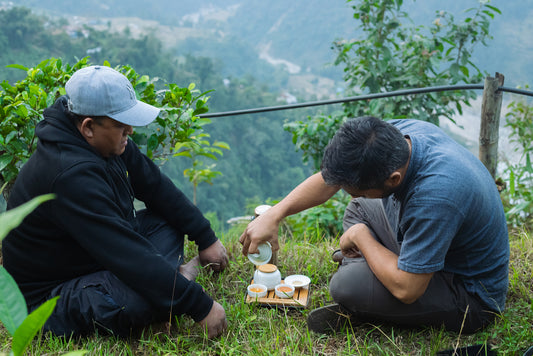 Håndplukket og unik te fra Nepal