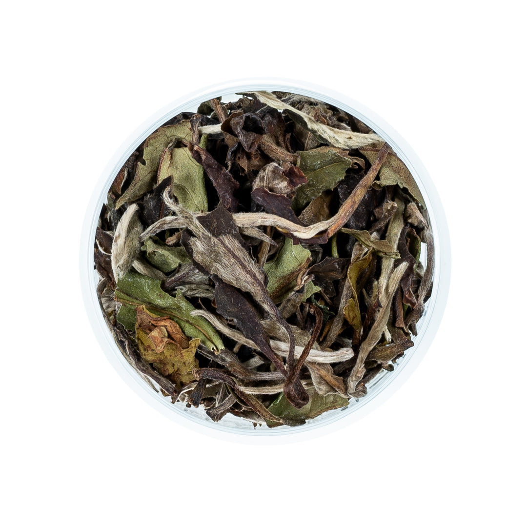Pai Mu Tan