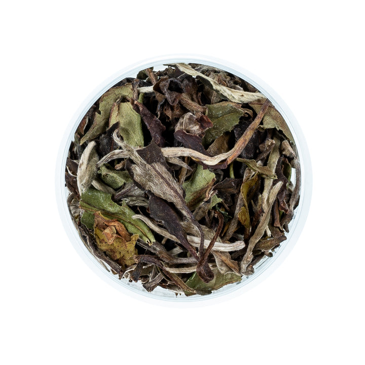 Pai Mu Tan