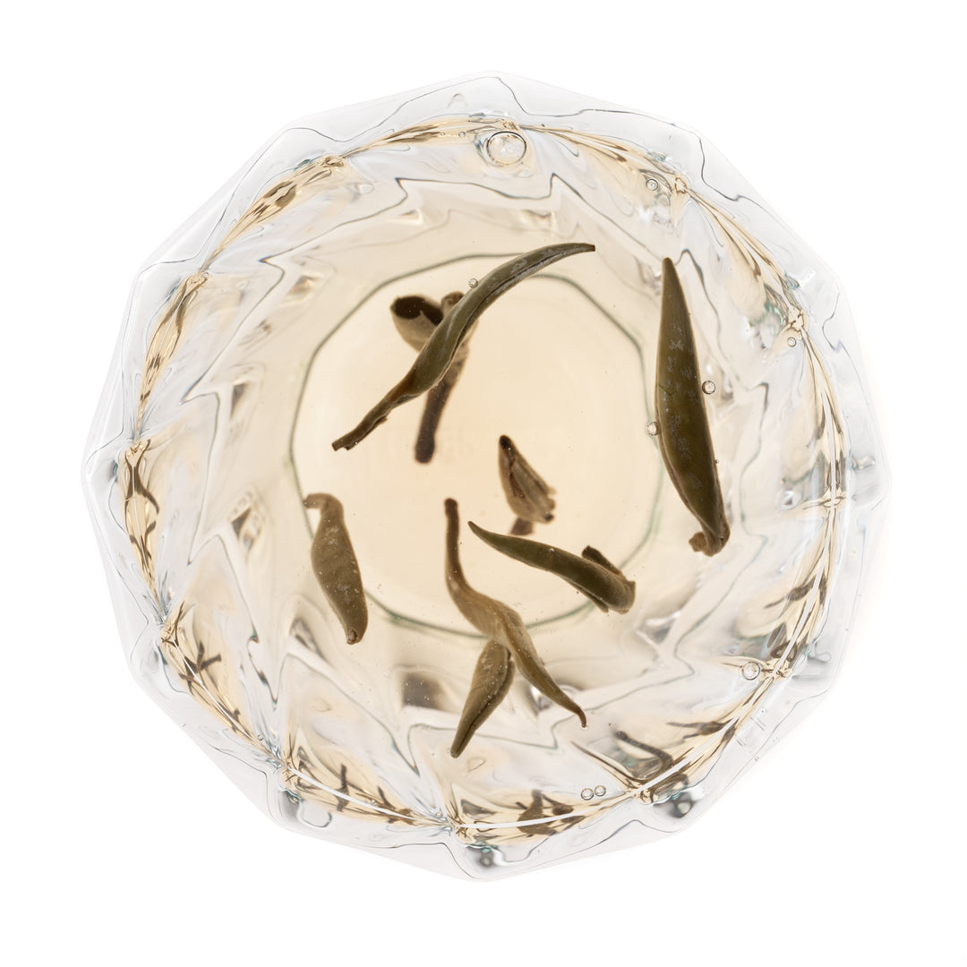 China White Flowery Pekoe Tea