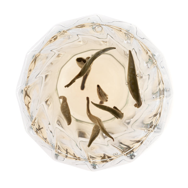 China White Flowery Pekoe Tea